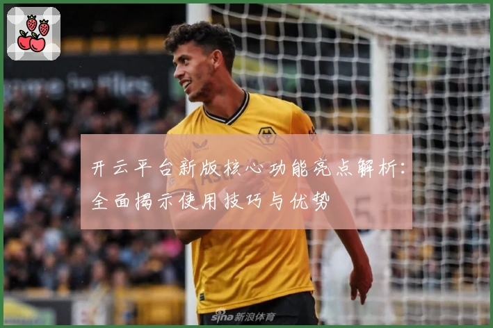 开云平台新版核心功能亮点解析:全面揭示使用技巧与优势