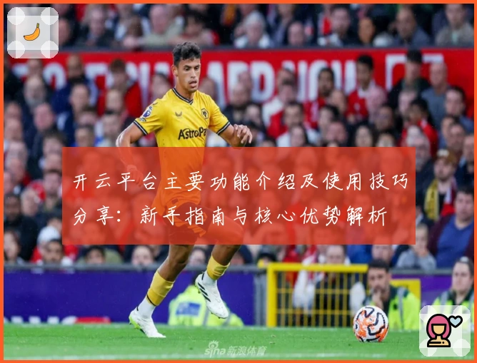 开云平台主要功能介绍及使用技巧分享：新手指南与核心优势解析